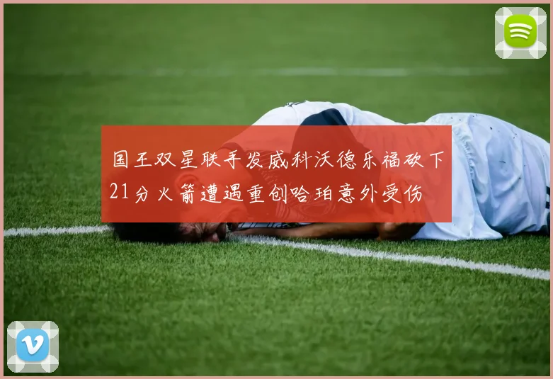 国王双星联手发威科沃德乐福砍下21分火箭遭遇重创哈珀意外受伤